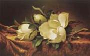 Martin Johnson Heade Magnolia oil on canvas